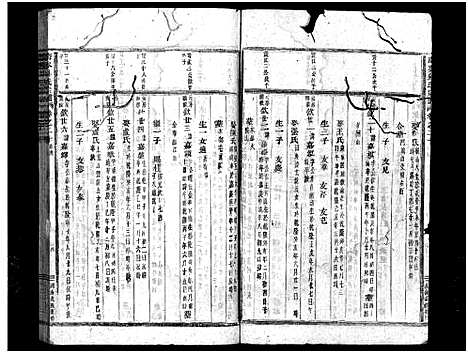 [吴]南岑吴氏宗谱_40卷_及卷末 (浙江) 南岑吴氏家谱_十一.pdf