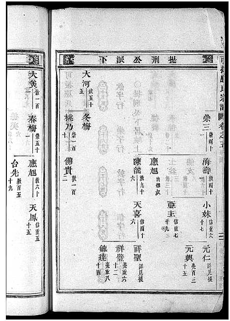 [应]可投应氏宗谱_卷数杂异 (浙江) 可投应氏家谱_六.pdf