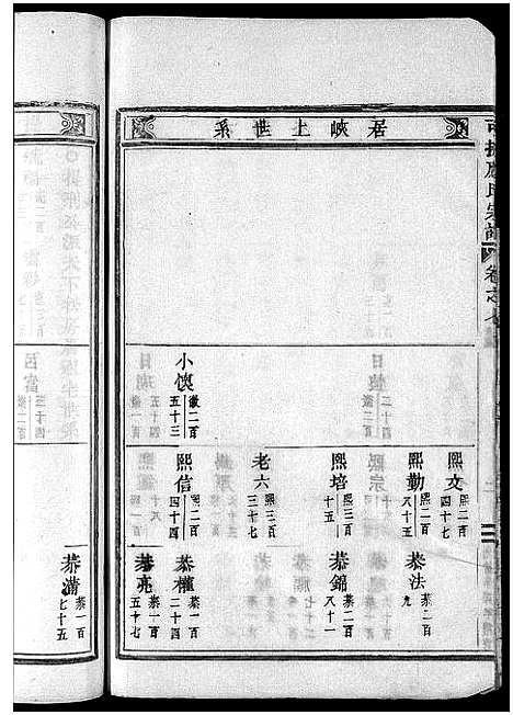 [应]可投应氏宗谱_卷数杂异 (浙江) 可投应氏家谱_八.pdf