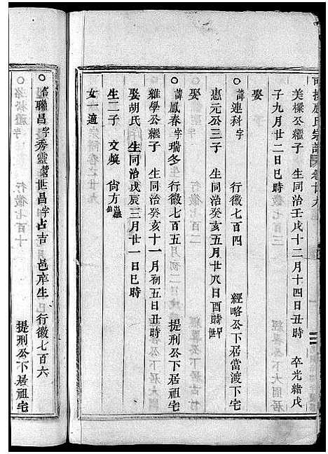 [应]可投应氏宗谱_卷数杂异 (浙江) 可投应氏家谱_二十九.pdf