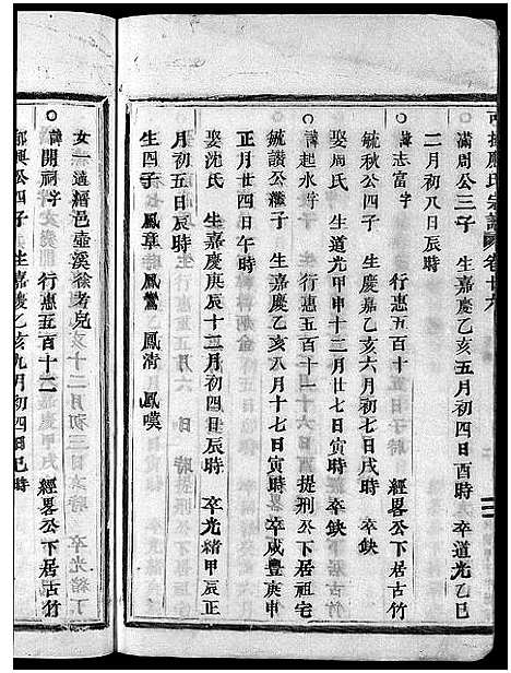 [应]可投应氏宗谱_残卷 (浙江) 可投应氏家谱_九.pdf