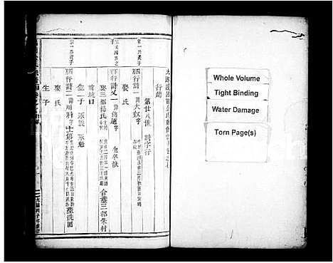 [金]吕前金氏宗谱_残卷 (浙江) 吕前金氏家谱_二.pdf