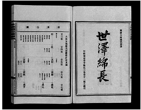 [陈]大林陈氏宗谱_9卷_含首1卷 (浙江) 大林陈氏家谱_四.pdf