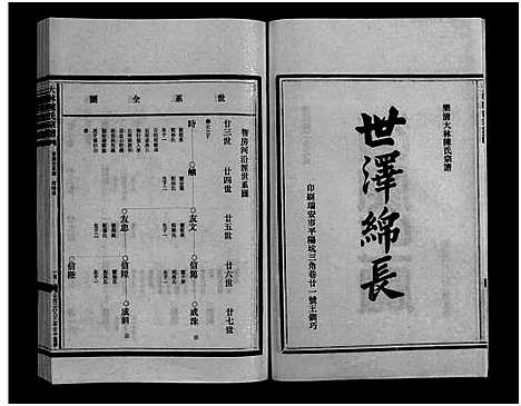 [陈]大林陈氏宗谱_9卷_含首1卷 (浙江) 大林陈氏家谱_九.pdf