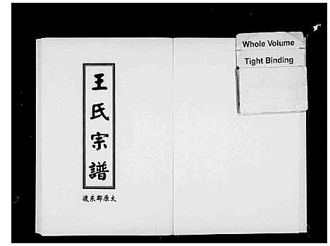 [王]太原东渡王氏宗谱 (浙江) 太原东渡王氏家谱.pdf