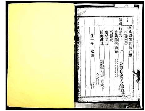 [胡]安定胡氏宗谱 (浙江) 安定胡氏家谱_二.pdf