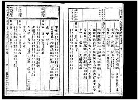 [陈]安文陈氏宗谱_55卷首1卷_外篇7卷 (浙江) 安文陈氏家谱_十六.pdf