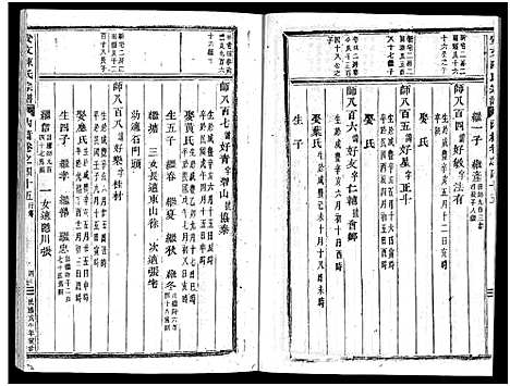 [陈]安文陈氏宗谱_55卷首1卷_外篇7卷 (浙江) 安文陈氏家谱_三十.pdf