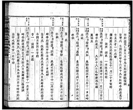 [卢]安溪卢氏宗谱_20卷 (浙江) 安溪卢氏家谱_十一.pdf