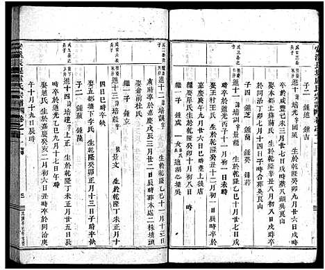 [卢]安溪卢氏宗谱_20卷 (浙江) 安溪卢氏家谱_十一.pdf