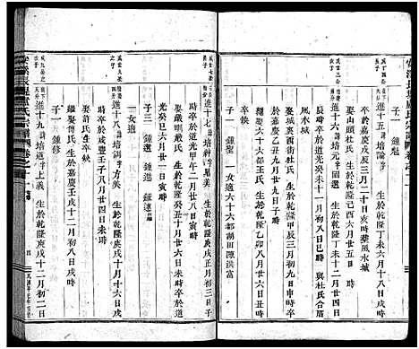 [卢]安溪卢氏宗谱_20卷 (浙江) 安溪卢氏家谱_十一.pdf