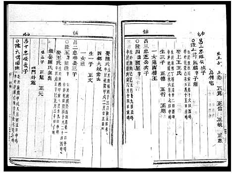 [杜]岘北杜氏宗谱_14卷 (浙江) 岘北杜氏家谱_九.pdf