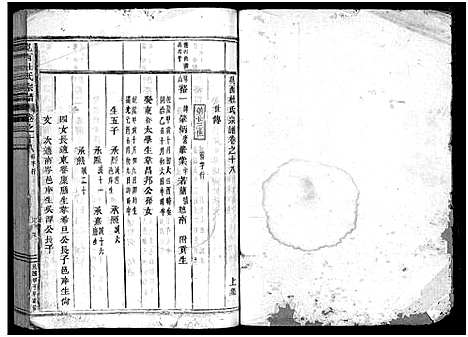 [杜]岘西杜氏宗谱_27卷 (浙江) 岘西杜氏家谱_四十一.pdf