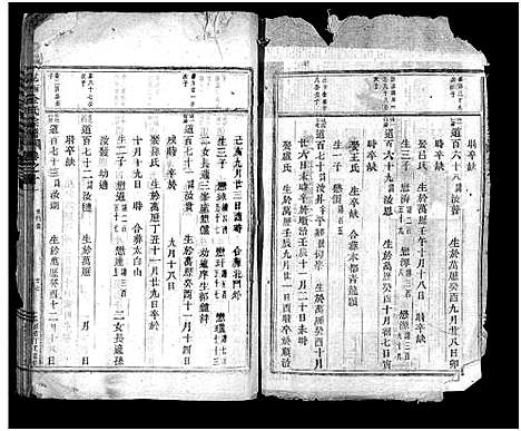 [金]岘西金氏宗谱_残卷 (浙江) 岘西金氏家谱_二.pdf