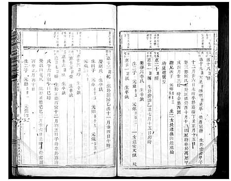 [金]岘西金氏家谱_46卷 (浙江) 岘西金氏家谱_十一.pdf