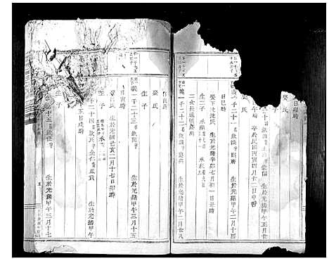 [金]岘西金氏家谱_46卷 (浙江) 岘西金氏家谱_二十二.pdf