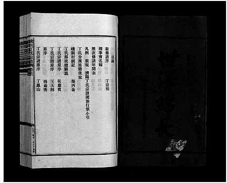 [丁]巉川丁氏宗谱_2卷_及卷首 (浙江) 巉川丁氏家谱_一.pdf