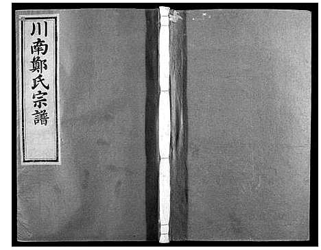 [郑]川南郑氏宗谱 (浙江) 川南郑氏家谱_十.pdf