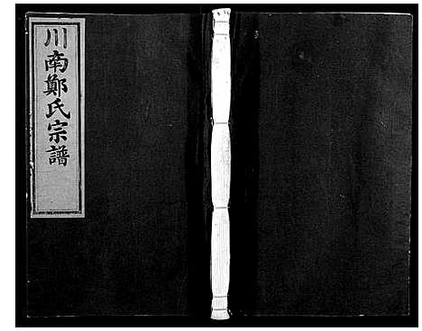 [郑]川南郑氏宗谱 (浙江) 川南郑氏家谱_十一.pdf