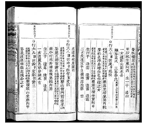 [叶]张山叶氏宗谱 (浙江) 张山叶氏家谱_五.pdf