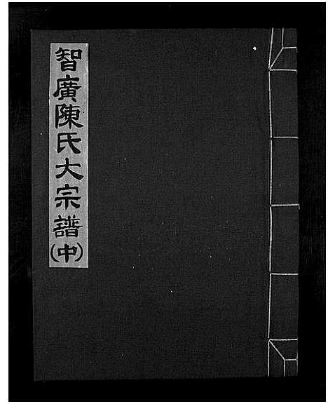 [陈]智广陈氏大宗谱_上中下册 (浙江) 智广陈氏大家谱_二.pdf