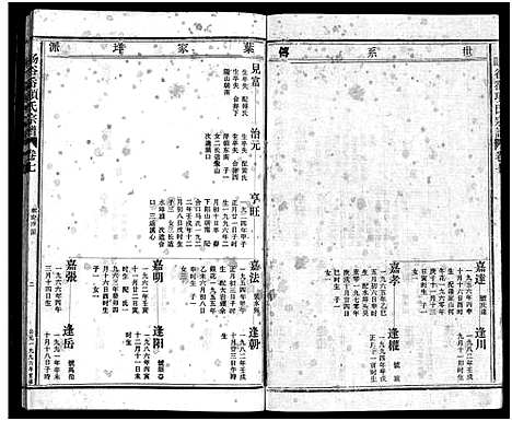 [项]暘谷岙项氏宗谱_7卷首1卷 (浙江) 暘谷岙项氏家谱_十.pdf