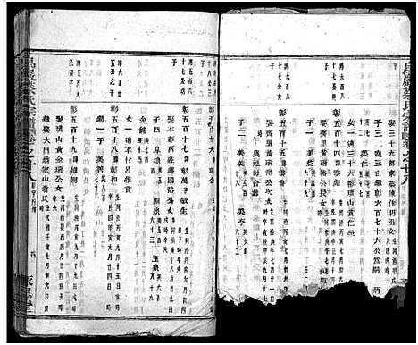 [蔡]暨阳乌巖蔡氏宗谱_32卷 (浙江) 暨阳乌巖蔡氏家谱_二十九.pdf