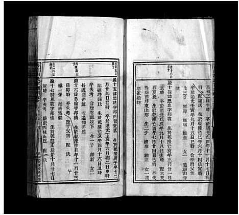 [胡]杏庄胡氏宗谱_5卷_及卷首 (浙江) 杏庄胡氏家谱_七.pdf