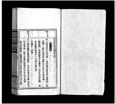 [胡]杏庄胡氏宗谱_5卷_及卷首 (浙江) 杏庄胡氏家谱_八.pdf