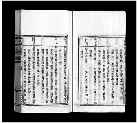 [胡]杏庄胡氏宗谱_5卷_及卷首 (浙江) 杏庄胡氏家谱_八.pdf