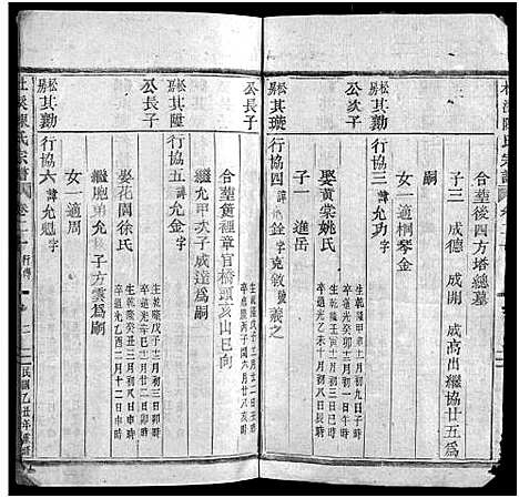 [陈]杜溪陈氏宗谱_24卷首1卷 (浙江) 杜溪陈氏家谱_二十一.pdf