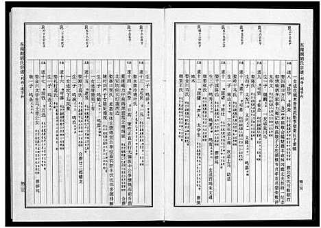 [胡]东南湖胡氏宗谱_10册 (浙江) 东南湖胡氏家谱_八.pdf