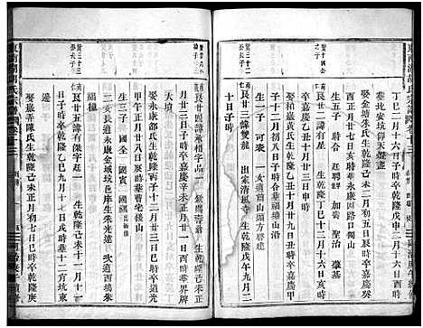 [胡]东南湖胡氏宗谱_15卷 (浙江) 东南湖胡氏家谱_十.pdf