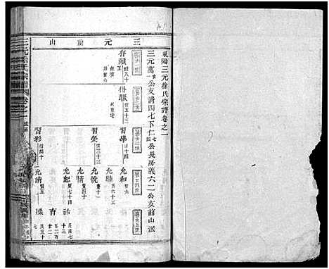 [徐]东阳三元徐氏宗谱_卷数杂异 (浙江) 东阳三元徐氏家谱_十三.pdf