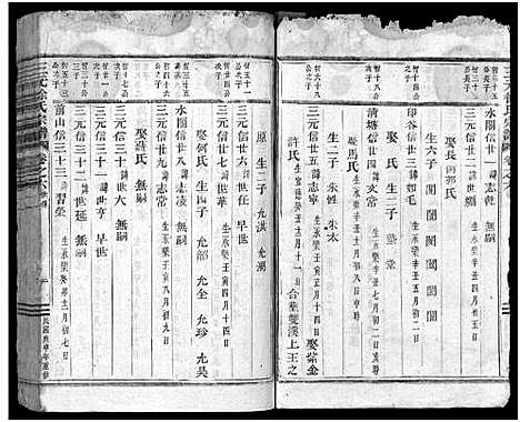 [徐]东阳三元徐氏宗谱_卷数杂异 (浙江) 东阳三元徐氏家谱_二十.pdf