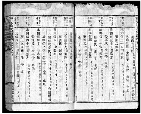 [徐]东阳三元徐氏宗谱_卷数杂异 (浙江) 东阳三元徐氏家谱_二十.pdf