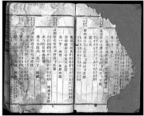 [徐]东阳三元徐氏宗谱_卷数杂异 (浙江) 东阳三元徐氏家谱_二十三.pdf