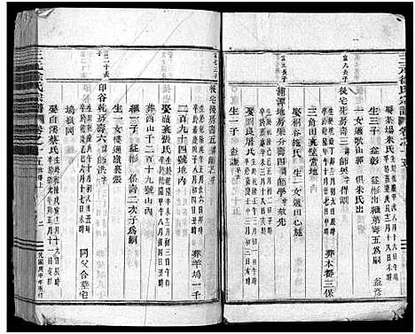 [徐]东阳三元徐氏宗谱_卷数杂异 (浙江) 东阳三元徐氏家谱_二十七.pdf