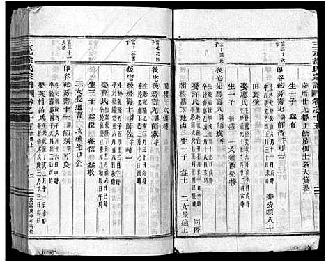 [徐]东阳三元徐氏宗谱_卷数杂异 (浙江) 东阳三元徐氏家谱_二十七.pdf