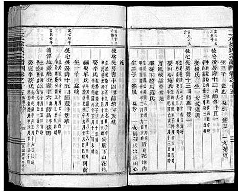 [徐]东阳三元徐氏宗谱_卷数杂异 (浙江) 东阳三元徐氏家谱_二十七.pdf