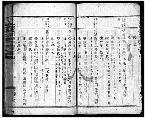 [徐]东阳三元徐氏宗谱_卷数杂异 (浙江) 东阳三元徐氏家谱_三十.pdf