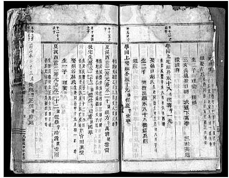 [徐]东阳三元徐氏宗谱_卷数杂异 (浙江) 东阳三元徐氏家谱_三十一.pdf