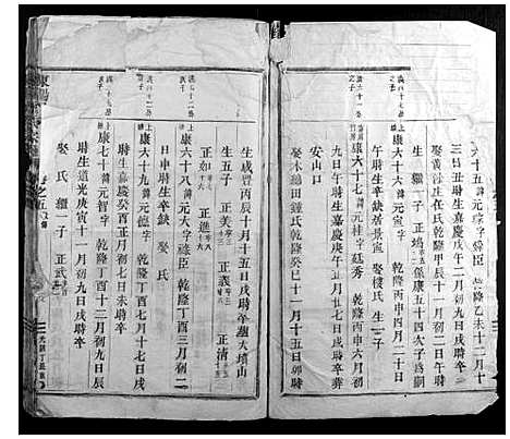 [沈]东阳沈氏宗谱 (浙江) 东阳沈氏家谱_五.pdf