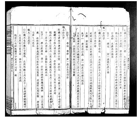 [应]桂巖应氏宗谱_10卷 (浙江) 桂巖应氏家谱_五.pdf