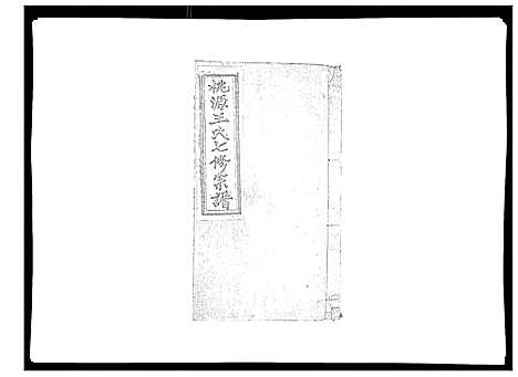 [王]桃源王氏宗谱_60卷首末各1卷 (浙江) 桃源王氏家谱_三.pdf