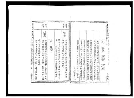 [王]桃源王氏宗谱_60卷首末各1卷 (浙江) 桃源王氏家谱_四.pdf