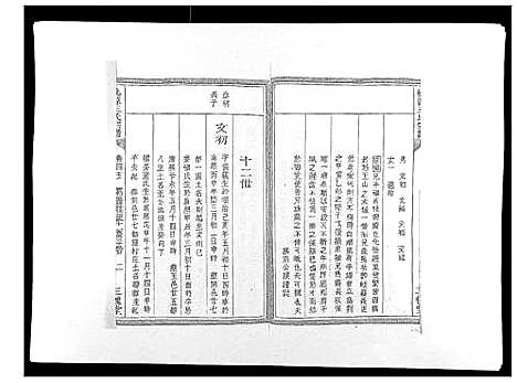 [王]桃源王氏宗谱_60卷首末各1卷 (浙江) 桃源王氏家谱_五.pdf