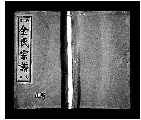 [金]梅溪金氏宗谱_13卷 (浙江) 梅溪金氏家谱_一.pdf