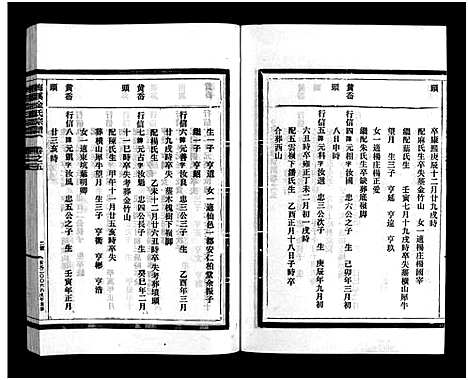 [金]梅溪金氏宗谱_15卷 (浙江) 梅溪金氏家谱_九.pdf