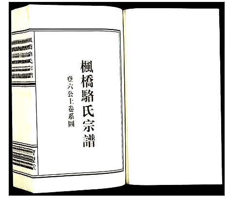 [骆]枫桥骆氏宗谱 (浙江) 枫桥骆氏家谱_十.pdf